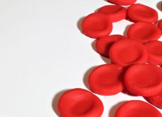 Czerwone krwinki na białym tle ilustrujące krążenie krwi