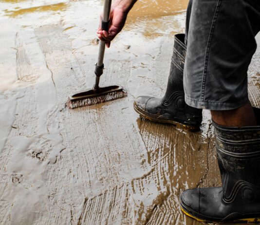 Pielęgnacja betonu po wylaniu – jak długo podlewać i kiedy zdjąć szalunki? Pielęgnacja betonu po wylaniu – jak długo podlewać i kiedy zdjąć szalunki?